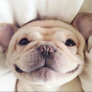 Meet your Posher, Isabel